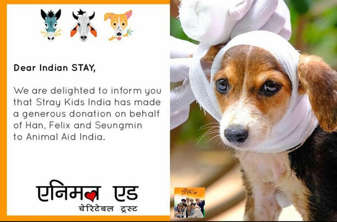 Virgo line Animal Aid donation